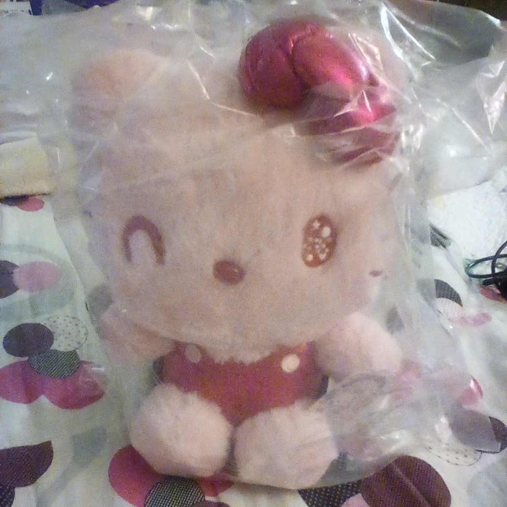 Meet your Posher, Jolene